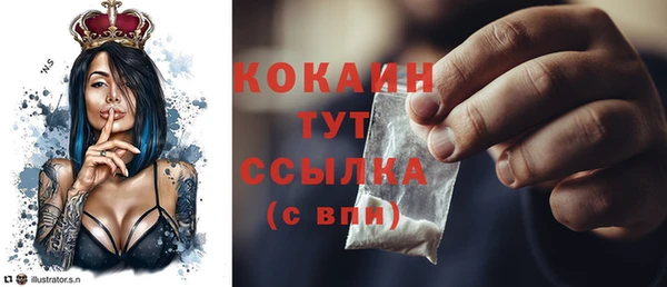 индика Абинск