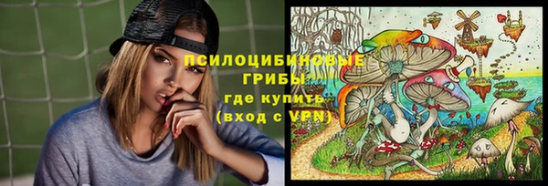 прущая мука Алзамай