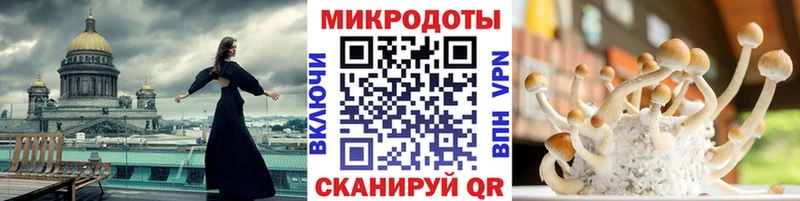 Псилоцибиновые грибы Cubensis Сокол