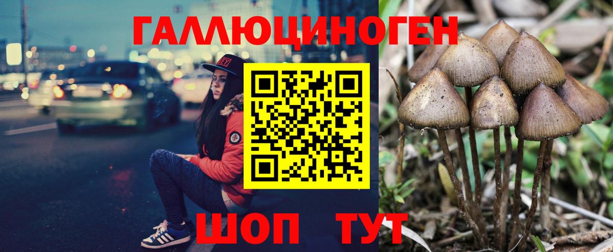 Галлюциногенные грибы MAGIC MUSHROOMS Сокол